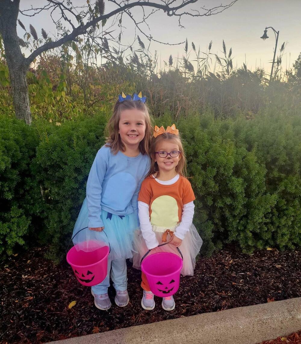 Bluey and Bingo Inspired Halloween Costumes For Girls Tutu Costume